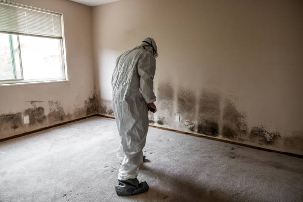 Best Forensic Mold Investigation  in Lyman, MS